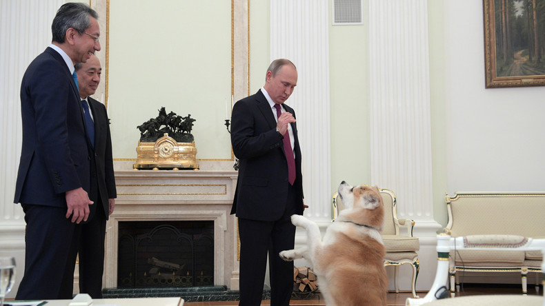 Putins Hund erschreckt japanische Journalisten