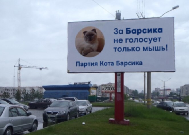 Kater will neuer russischer Präsident werden