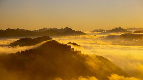 Verletzter Wanderer zündet Signalfeuer und löst Waldbrand am Jochberg aus