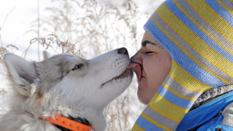 Moskauer Husky-Therapie: Polar-Märchen für Kinder und Jugendliche mit Behinderungen