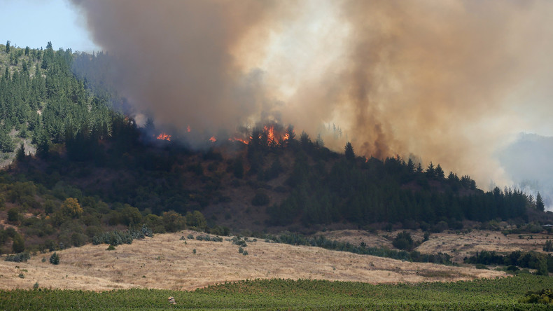 Ein russisches Löschflugzeug bewahrt zwei chilenische Städte vor Waldbrand