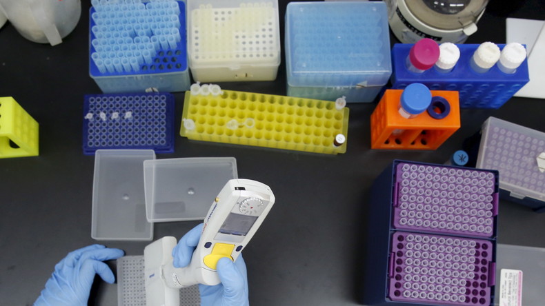 Neuer alternativer Bakterienkiller entdeckt: Kenianische Ameise trägt natürliches Antibiotikum