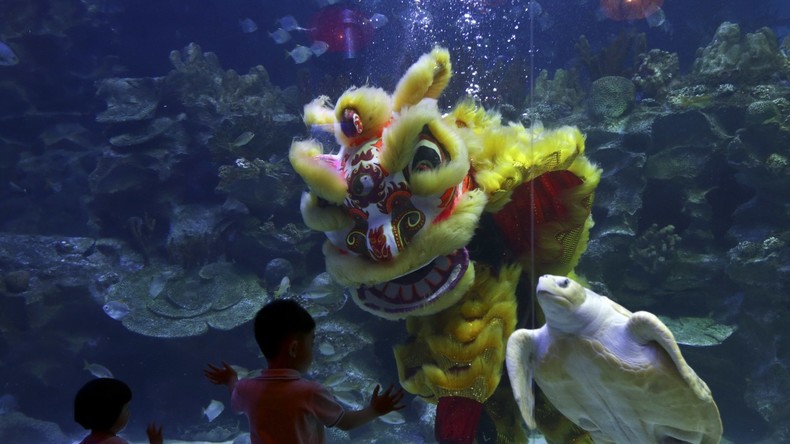 Alles für die Wissenschaft? China baut größte Tiefseestation im Südchinesischen Meer