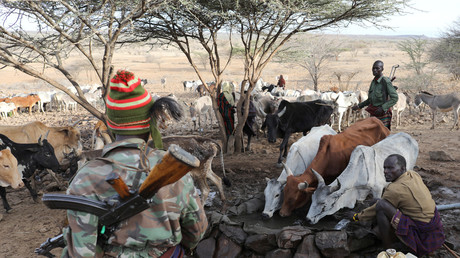 Kenia: Extremdürre führt zu Spannungen zwischen Viehtreibern und ethnischen Stammesgruppen