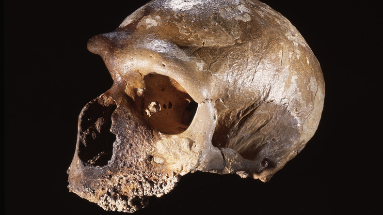 Wissenschaftler entdecken älteste Neandertaler-Siedlung in Europa