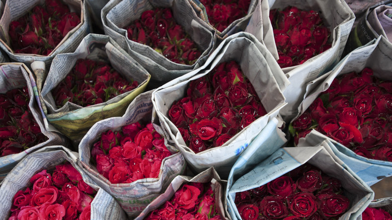 Diebe stehlen alle Rosen in Rigaer Blumengeschäft
