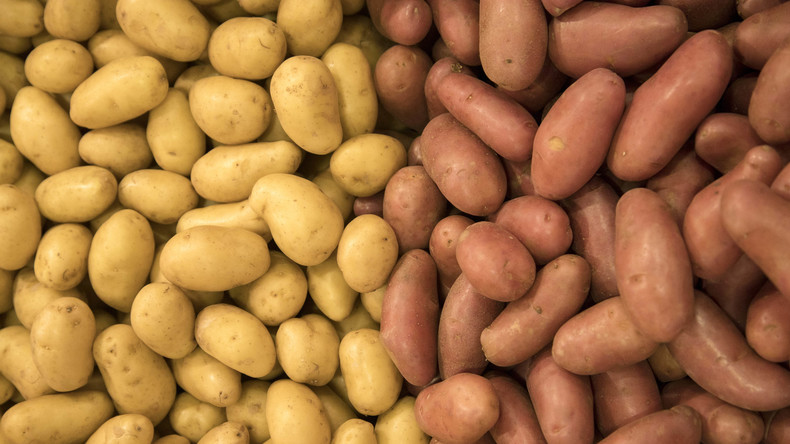 Wissenschaftler beweisen Möglichkeit, Kartoffeln auf Mars zu pflanzen