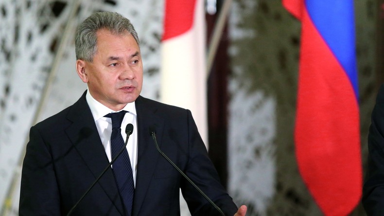 Russlands Verteidigungsminister: Russland schlägt Japan vor, an Entminung von Palmyra teilzunehmen