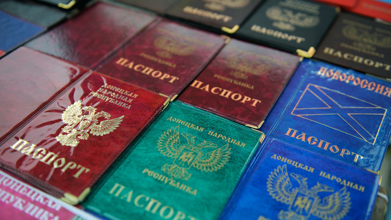Vorsitzender russischer Regierungspartei: Anerkennung Donezker und Lugansker Pässe provisorisch