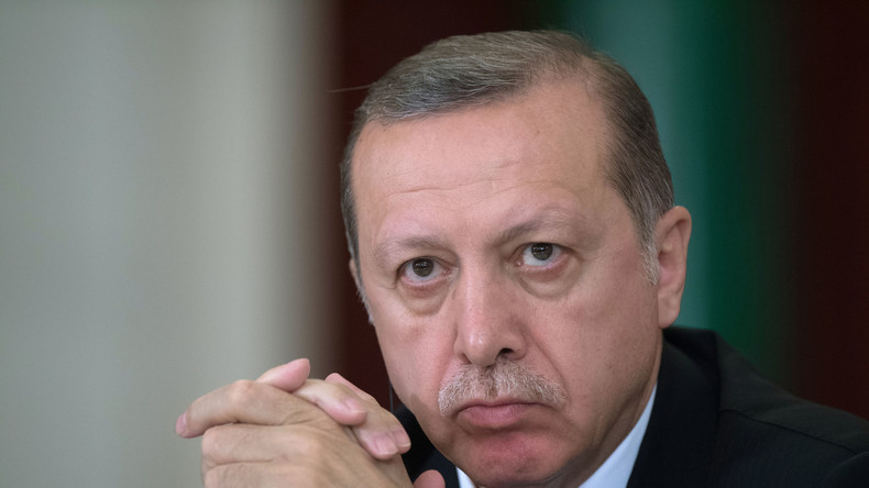 Erdogan - ein "Terrorist"? Die Linke geht in die Offensive gegen Ankara