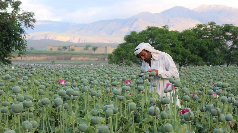 US-Botschaft in Afghanistan kündigt sechs Mitarbeitern wegen Drogenkonsums und Dealens