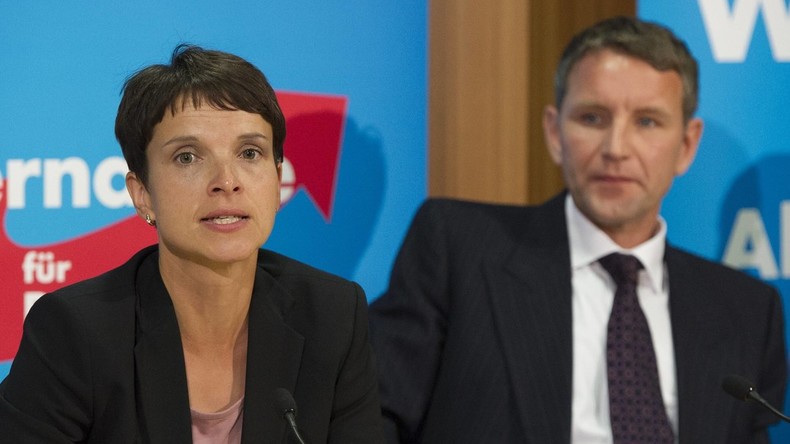 Der Machtkampf in der AfD, die Medien und die Koalitionsfähigkeit
