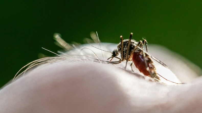 Weltgesundheitsorganisation: über 400.000 Malaria-Tote pro Jahr