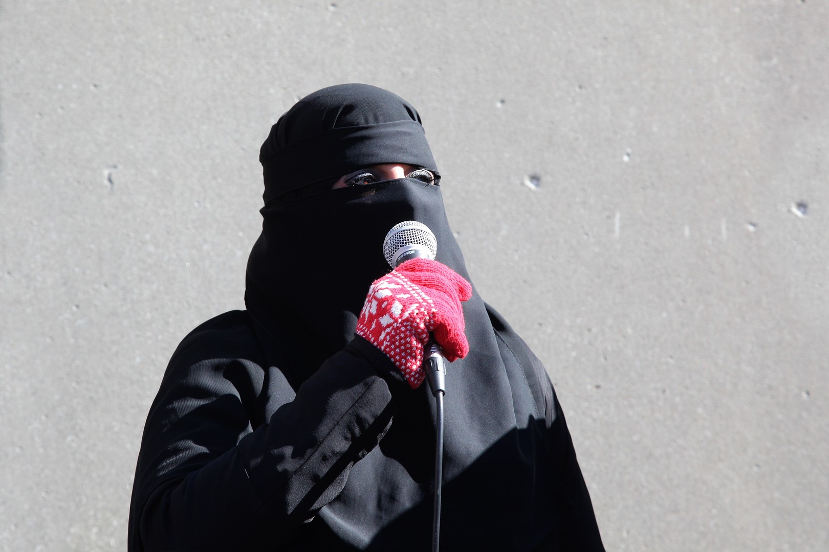 Anti-Islam Protest in Toronto, Kanada