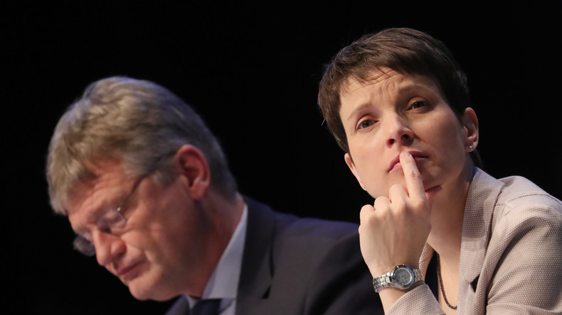 AfD pocht auf internationale Beobachtung der Bundestagswahl
