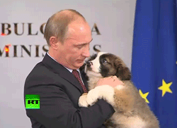 Tierliebhaber Putin begrüßt Täubchen