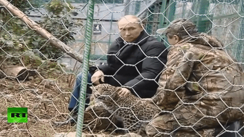 Tierliebhaber Putin begrüßt Täubchen