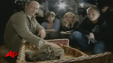 Tierliebhaber Putin begrüßt Täubchen