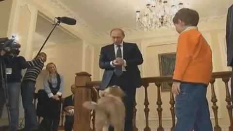Tierliebhaber Putin begrüßt Täubchen