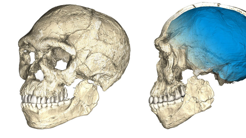 300.000 Jahre: Älteste menschliche Fossilien in Marokko ausgegraben