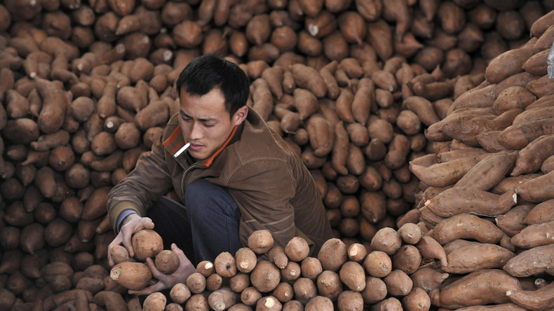 Pommes aus dem Weltall: China will auf dem Mond Kartoffeln züchten