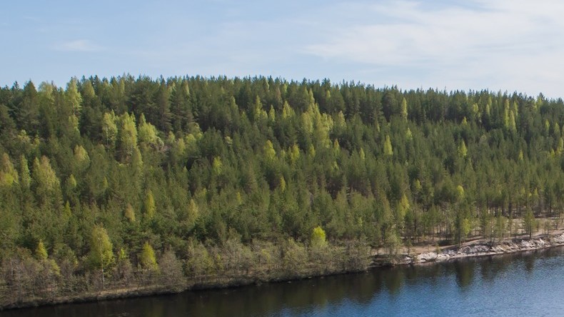 UNESCO erkennt Schwarzwaldgebiet als Biosphärenreservat an