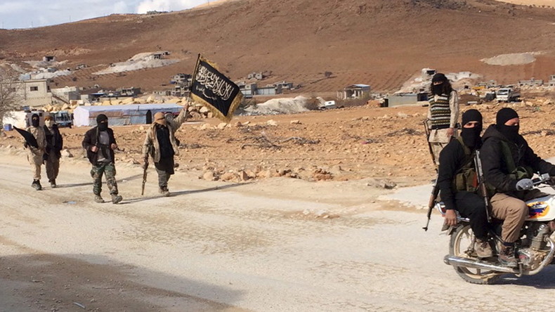 Lawrow kritisiert Inkonsequenz der USA: Sie greifen in Syrien den IS an, aber nicht Al-Kaida