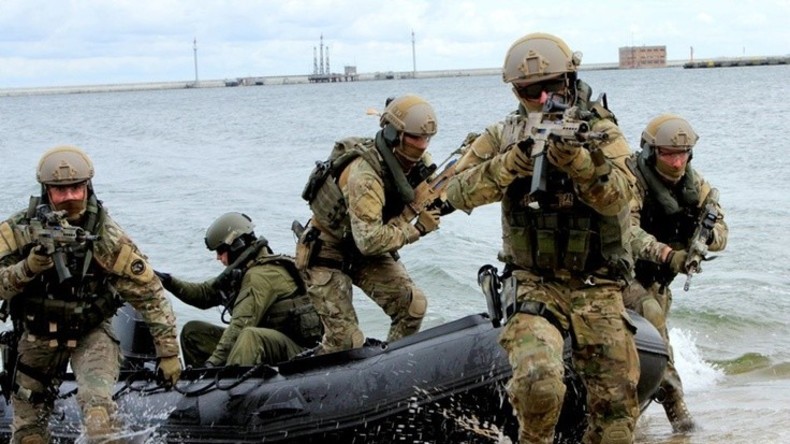 Polnische NATO-Soldaten führen unerlaubt Landungsmanöver an neutraler schwedischer Küste durch
