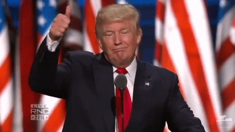 "Weichheit ohne Grenzen" – Geschäftsmann rächt sich für Mexiko-Mauer mit Trump-Toilettenpapier