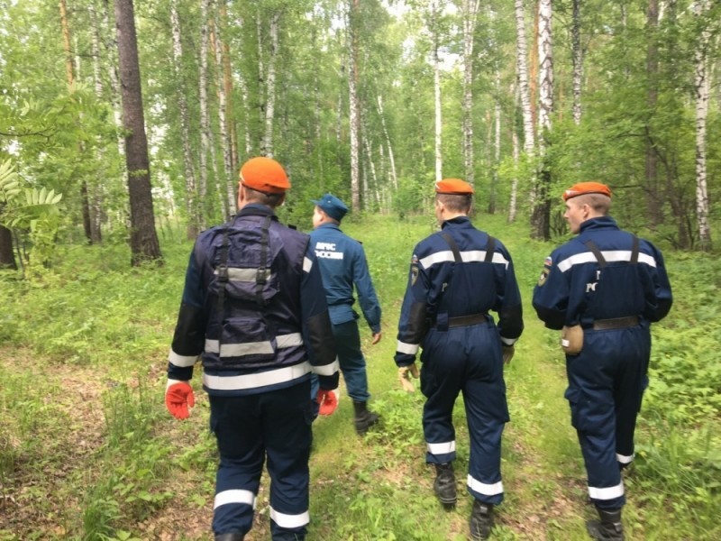 "Er trank Sumpfwasser und aß Gras" – Vierjähriger Junge nach 4 Tagen im Wald lebend gefunden