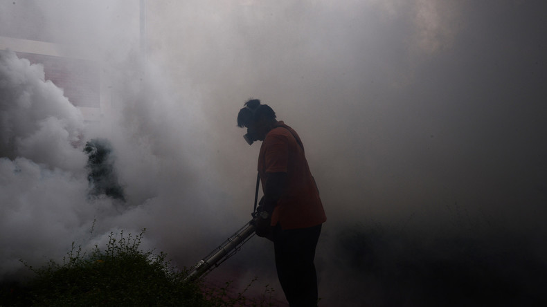 Thailand meldet Zika-Ausbruch - keine Schwangeren betroffen