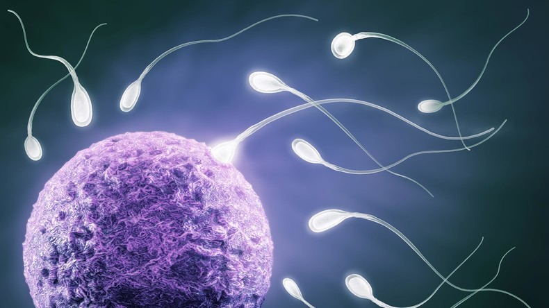 Europa stirbt aus - Immer weniger Spermien bei europäischen Männern