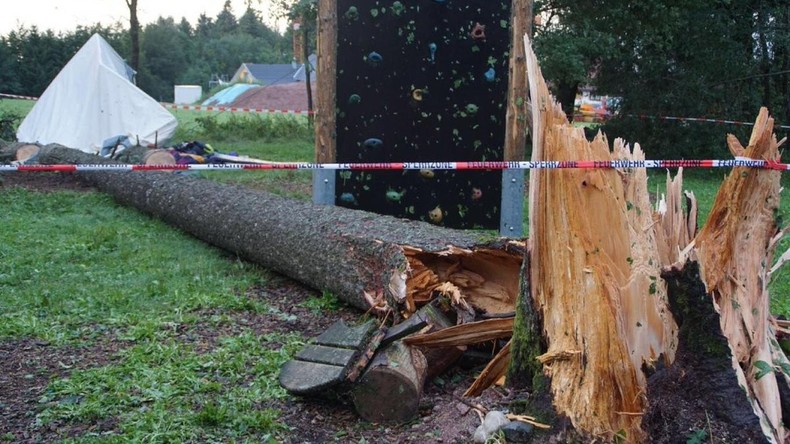 Baum stürzt auf Jugendzeltlager in Baden-Württemberg - Todesopfer war 15 Jahre alt