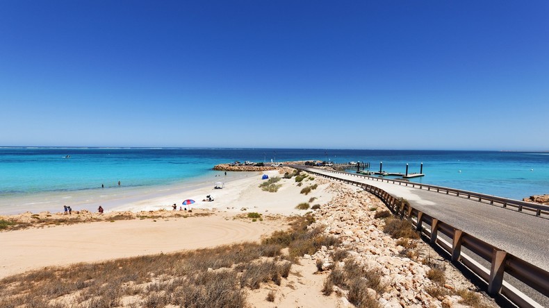 Rätselhafte Tierchen greifen Schüler an australischem Strand an