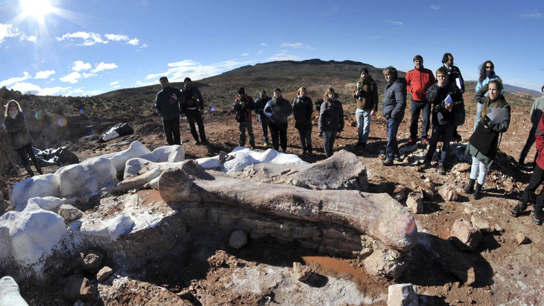 Reste des größten Dinosauriers aller Zeiten in Argentinien gefunden