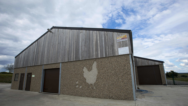 Fipronil-Eier: 17 Länder betroffen – Auf Vorschlag Deutschlands hin EU-Gespräche im September