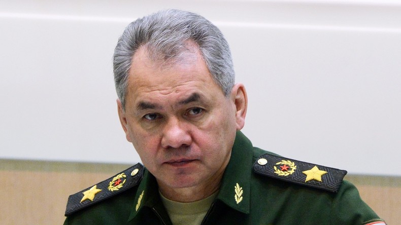 Russlands Verteidigungsminister bittet Hilfsorganisationen um mehr Engagement in Syrien