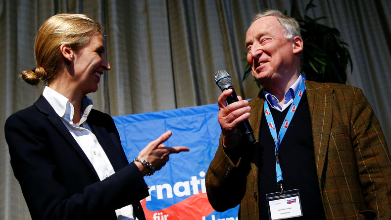 Partei-Dossier zur AfD