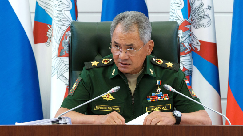 Russlands Verteidigungsminister Sergei Schoigu: Der Bürgerkrieg in Syrien ist faktisch gestoppt
