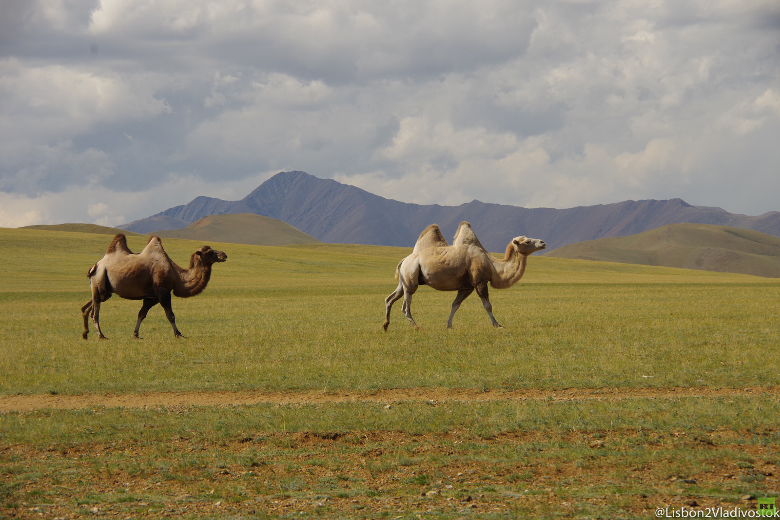 Von Lissabon nach Wladiwostok: Die Mongolei – Atemberaubende Landschaften & merkwürdige Begegnungen