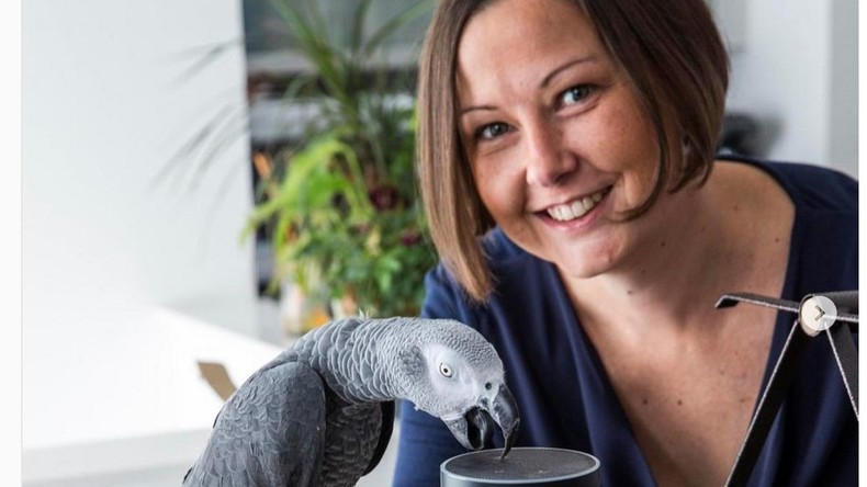 Selbständiger Papagei bestellt Geschenkverpackung bei Amazon für elf Euro