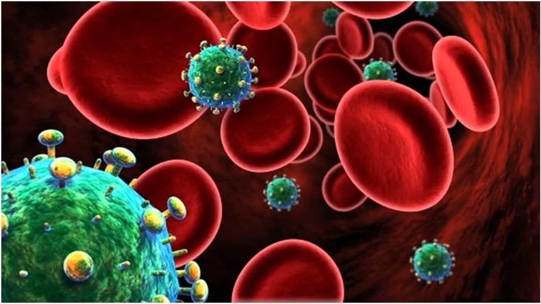 Neue Antikörper-Therapie soll 99 Prozent aller HIV-Stämme attackieren