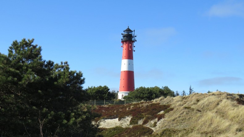 Großer Silberschatz aus der Wikingerzeit in Schleswig-Holstein entdeckt