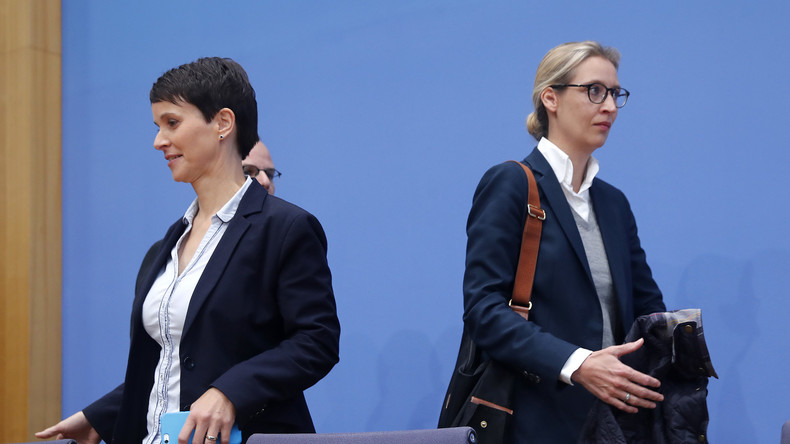 Bundespressekonferenz: Die AfD im Fokus der Aufmerksamkeit - Die Linke mit Kampfansage