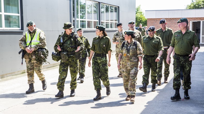 Dänemark schickt Soldaten an die Grenze zu Deutschland