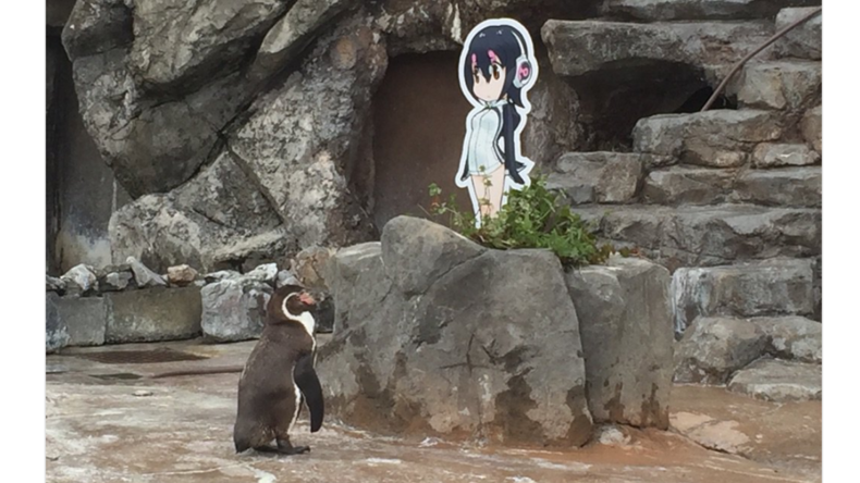 In Japan stirbt der Pinguin, der sich in eine Anime-Pappfigur verliebte
