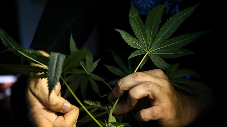 Erfreuliches mit Nebenwirkungen: Marihuana rettet zwar Leben, verändert aber das Gehirn