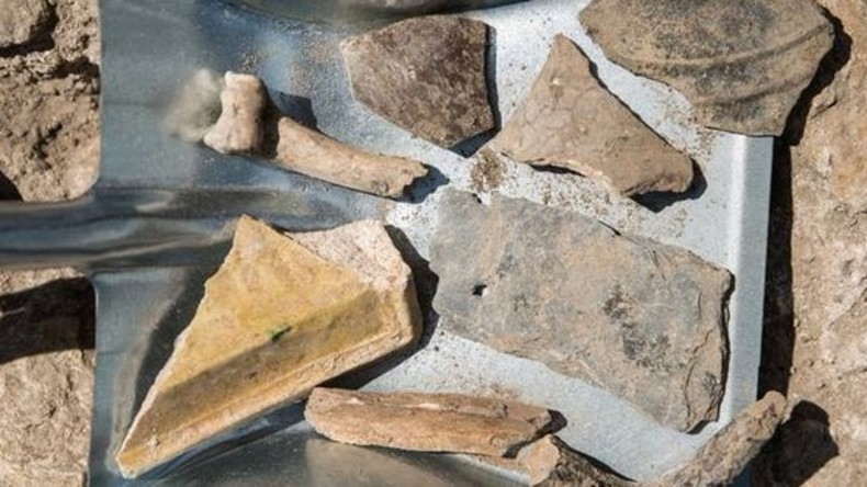 Rätsel für Archäologen: Millionen Jahre alte Zähne im Ur-Rhein entdeckt