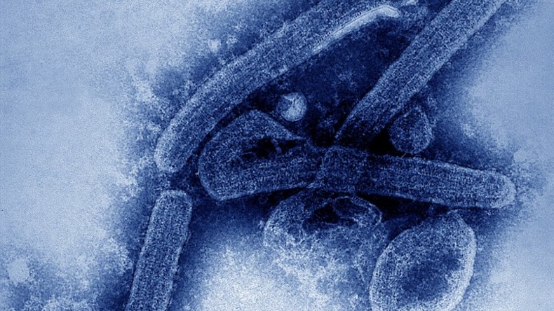Ausbruch von Marburg-Fieber in Uganda: Ein Todesopfer, zehn Menschen in Quarantäne