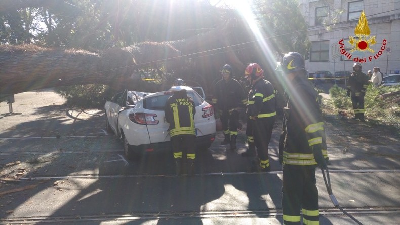 Baum fällt auf Taxi in Italien - Fahrer verletzt